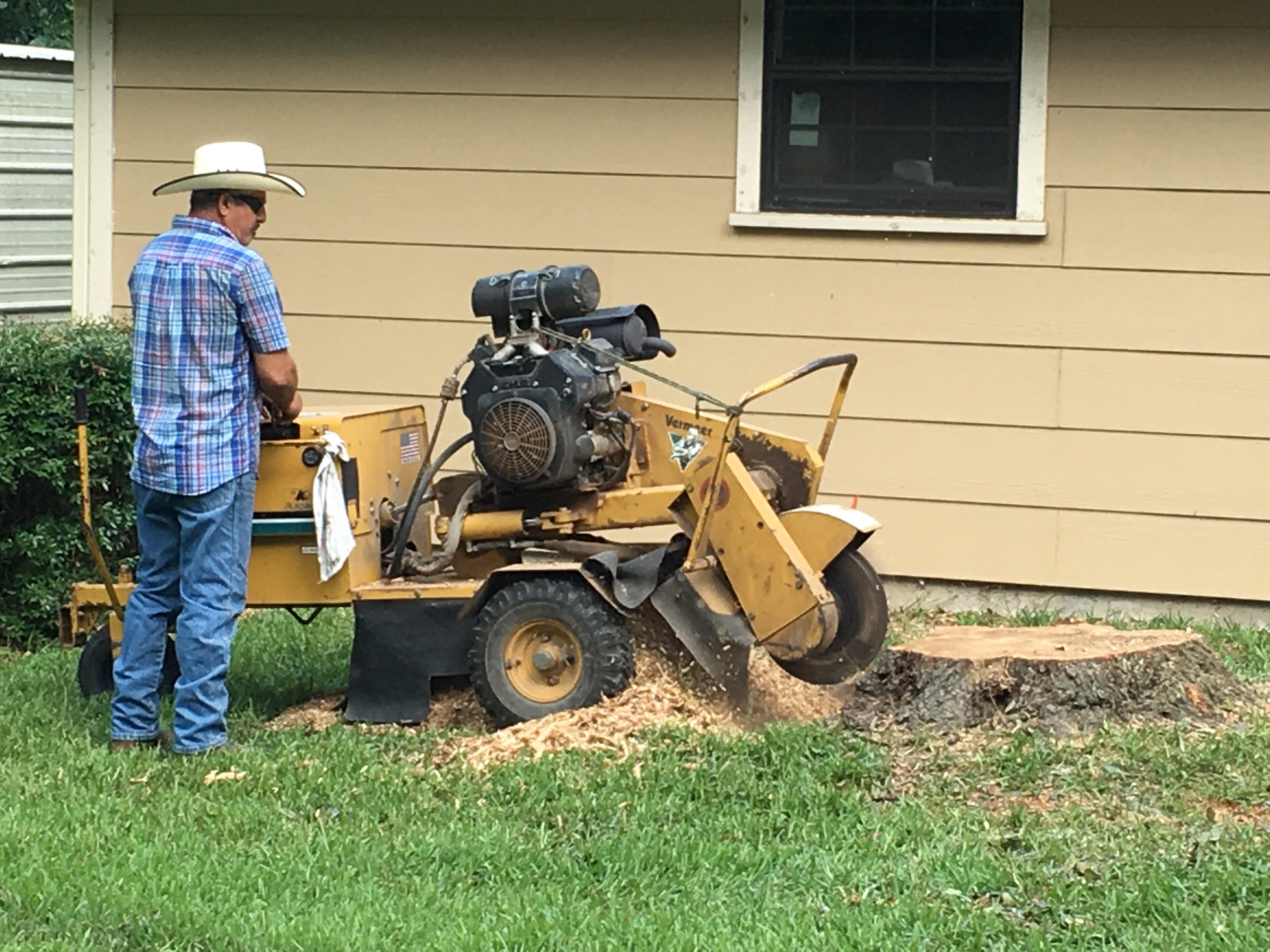 Stump grinding machine removing a tree stump next to a home in Huntsville, TX