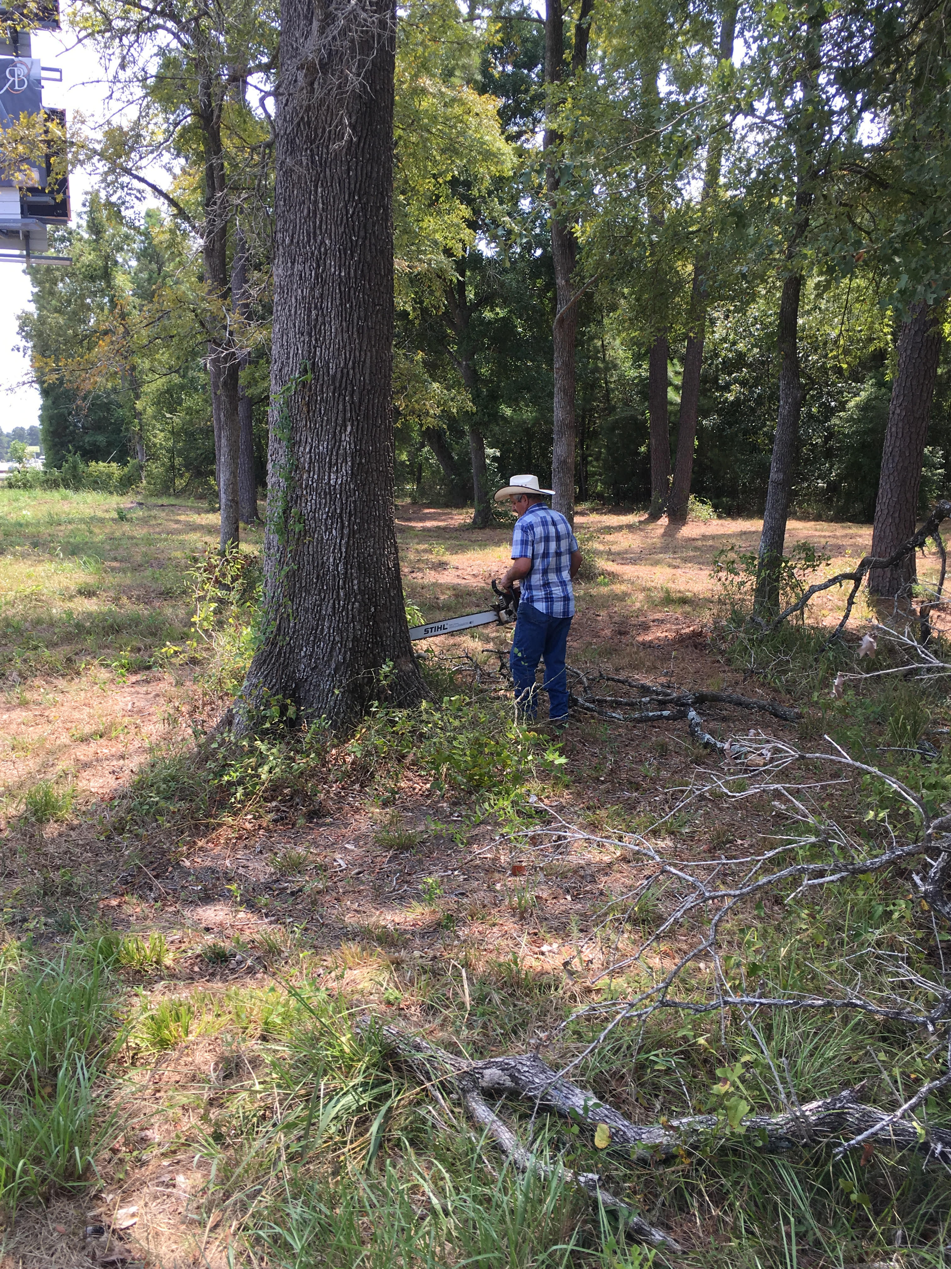 Tree service crew member using a chainsaw to clear a tree on a wooded property