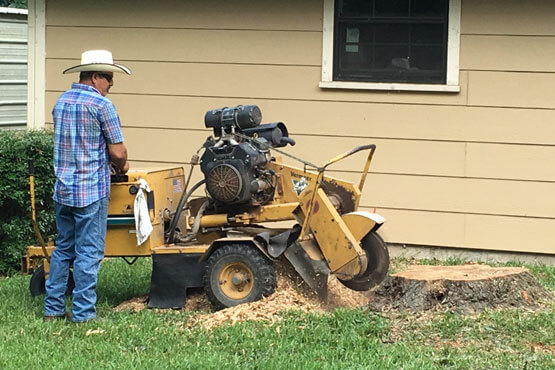 Tree Service